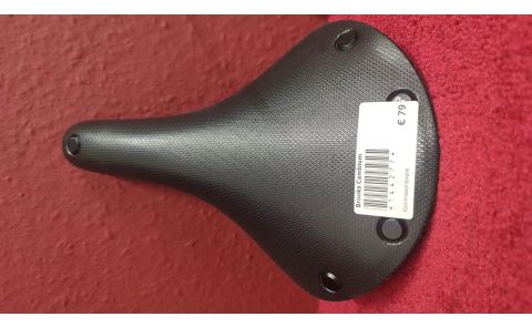 Brooks Cambium