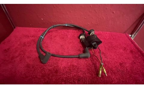 JetSki ZÜNDSPULE ASSY * FÜR Yamaha
