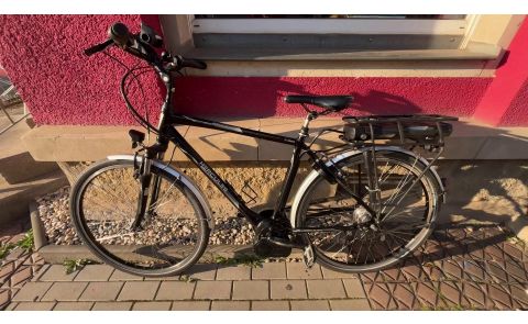 Hercules Robert 7 E-Bike *28 Zoll, Lichtanlage Nabendynamo, Nexus Nabe 7 Gang, Scheibenbremse