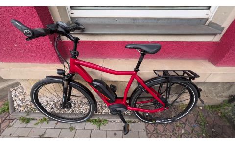 Rose 19 Xtra Watt Herren *28 Zoll, Lichtanlage Batterie, NUvinci, Scheibenbremse