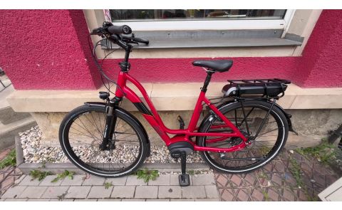 Rose 19 Xtra Watt  *28 Zoll, Lichtanlage Batterie, Nuvinci , Scheibenbremse