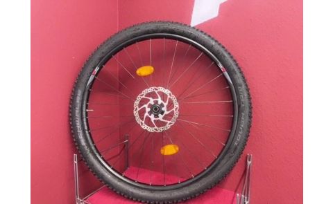 Concept 29 Alloy 6063 Laufrad *29 Zoll, 622 x 23, Inkl Schwalbe, Mandel 29x2,25